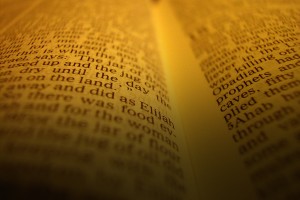 Ten Principles When Considering Alleged Bible Contradictions