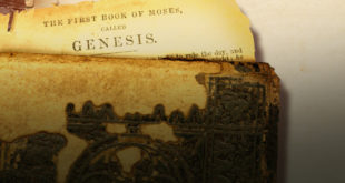 The Case for the Reliability of the Old Testament (Bible Insert)