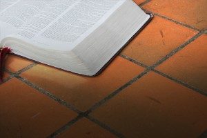 Portuguese Language Bible Jehovahs Witness Traducao Do Novo Mundo Biblia  Sagrada