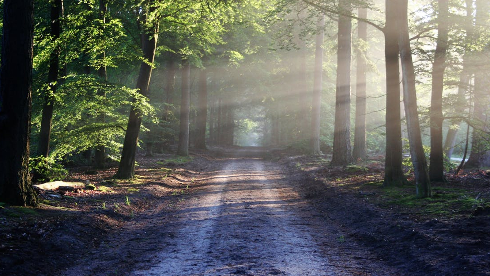 How God Used Roads to Pave the Way for Jesus
