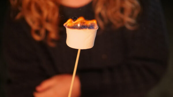 How to Make a S'More and An Apologetic for Hope