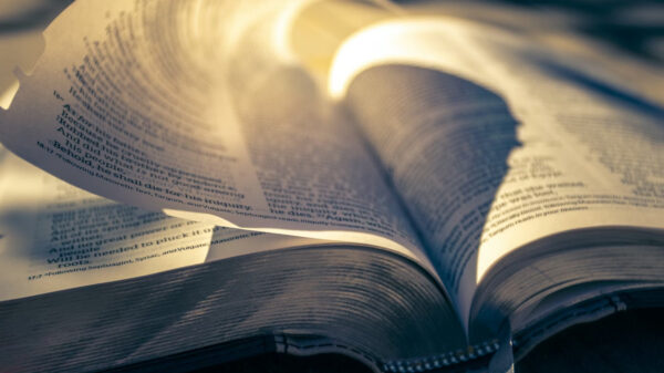 Rules to Evaluate Alleged Bible Contradictions and Difficulties