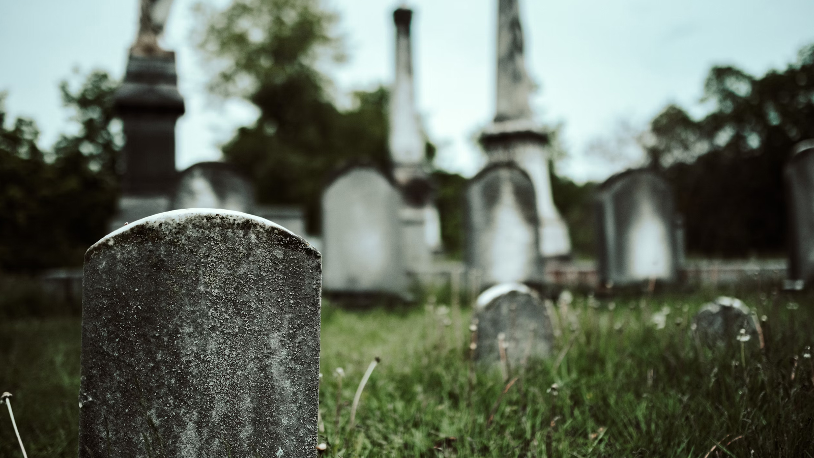 The Case for An Afterlife and the Biblical Description of Life After Death