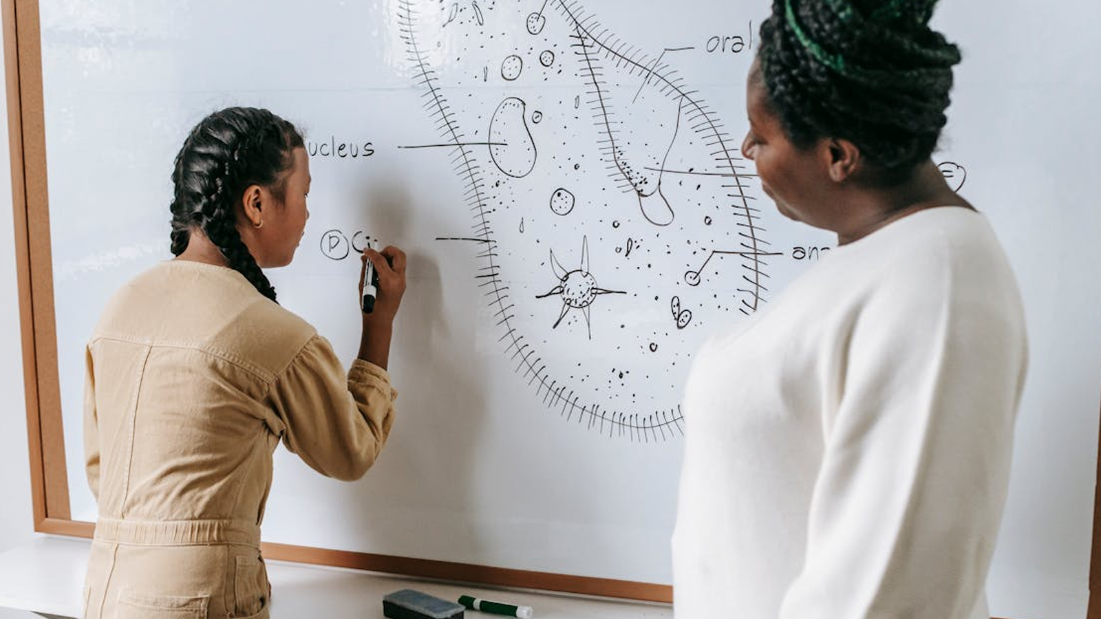 How Can I Address Scientific Issues If I Don’t Have a Formal Science Education