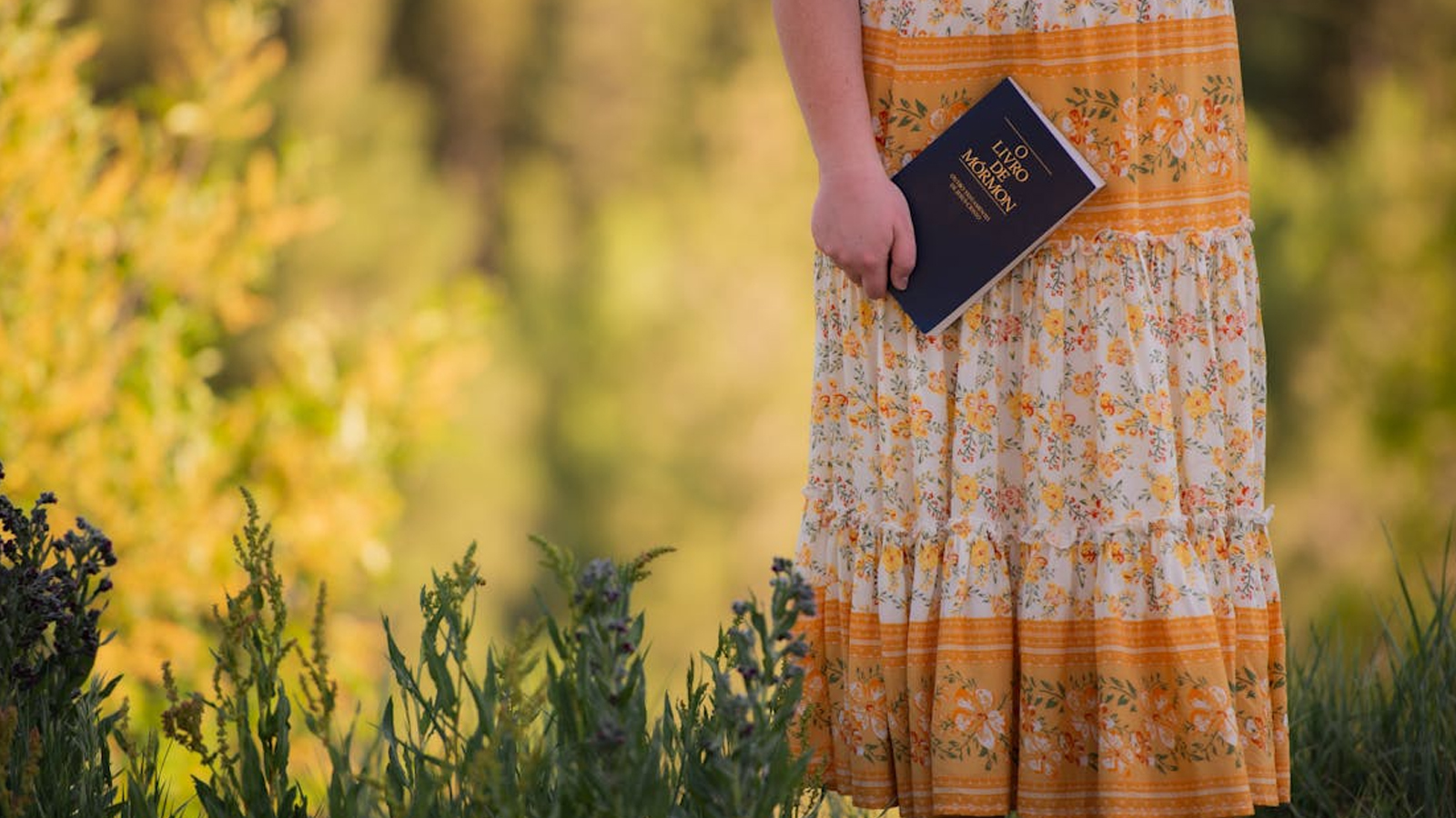 I Tested the Book of Mormon, Quran, and Bible Here’s What I Found