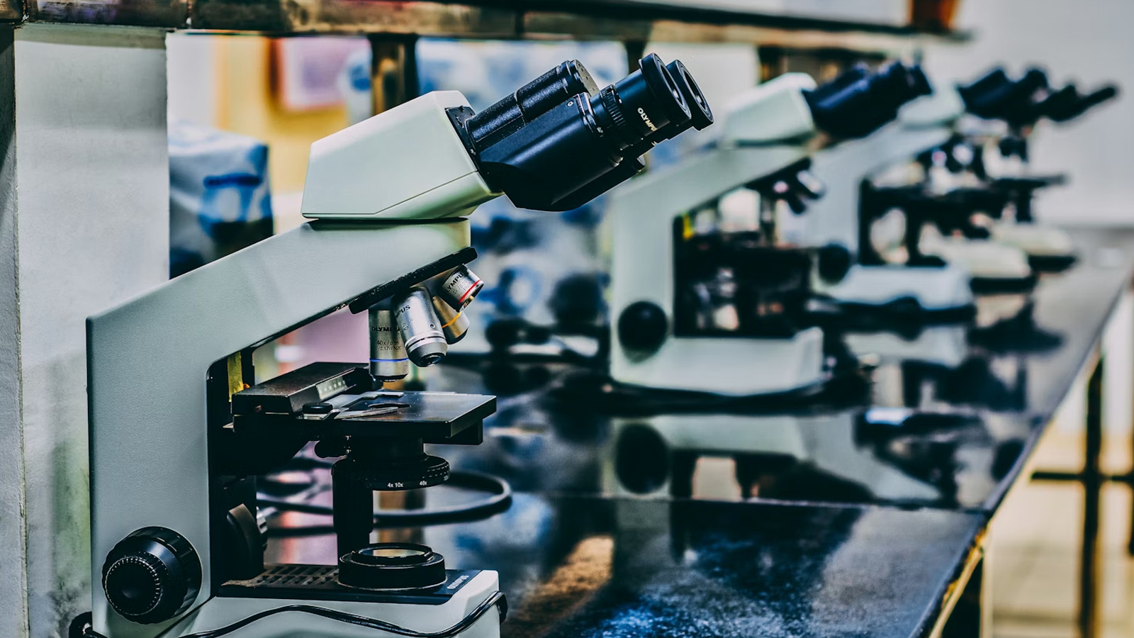 No, Christianity Didn’t Hold Back Science