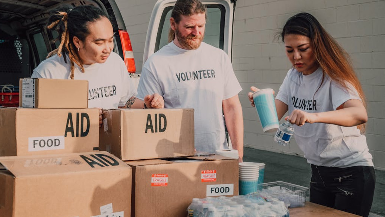 Service or Volunteerism